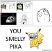 YouSmellyPika